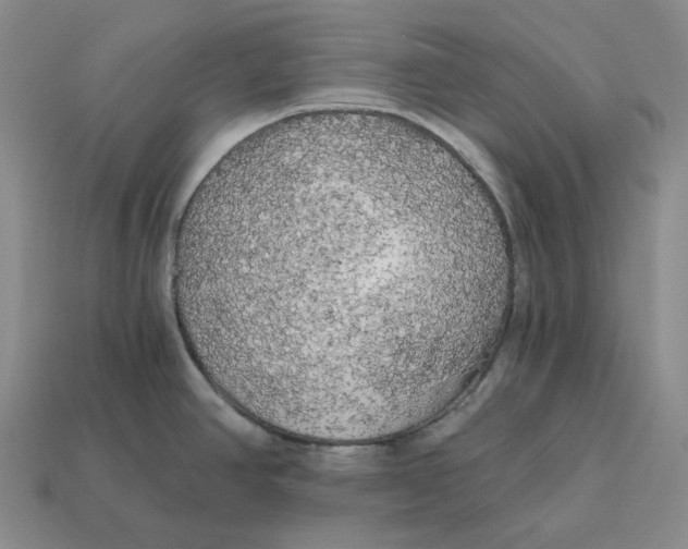 X0000112431390200909111021