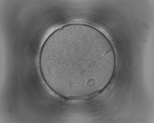 X0000112431392200909111021