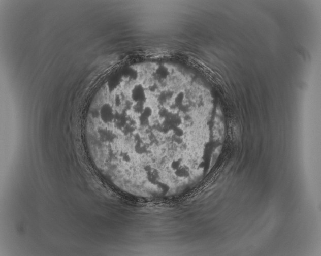 X0000112431393200909111021