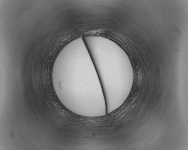 X0000112431394200909111021