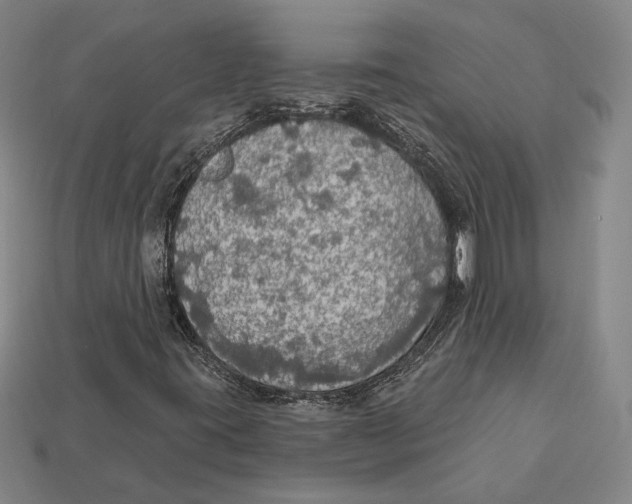 X0000112431395200909111021