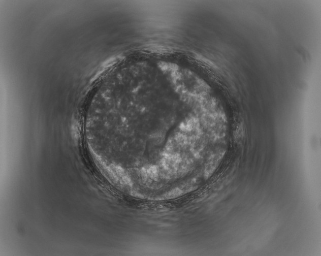 X0000112431397200909111021