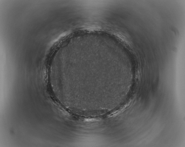 X0000112431398200909111021