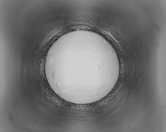 X0000112431399200909111021