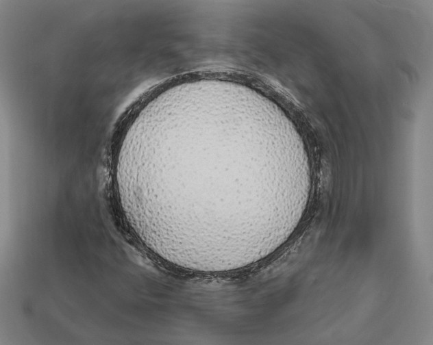 X0000112431400200909111021