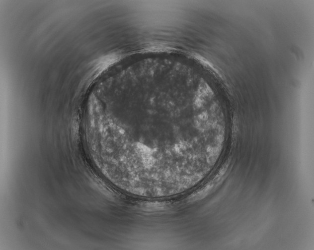 X0000112431401200909111021