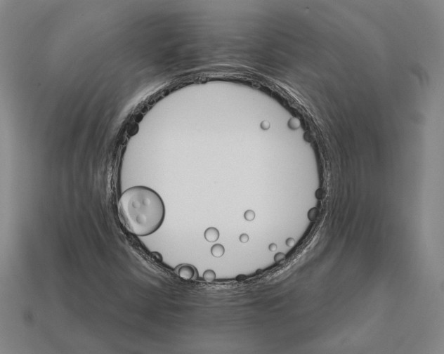 X0000112431402200909111021