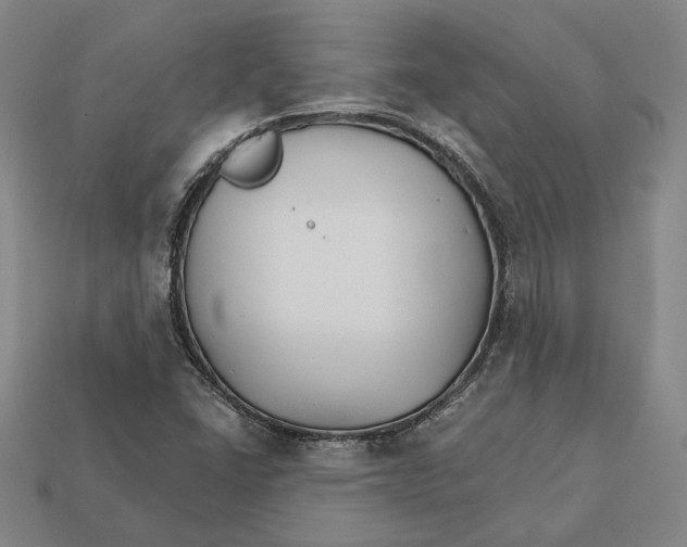 X0000112431406200909111021