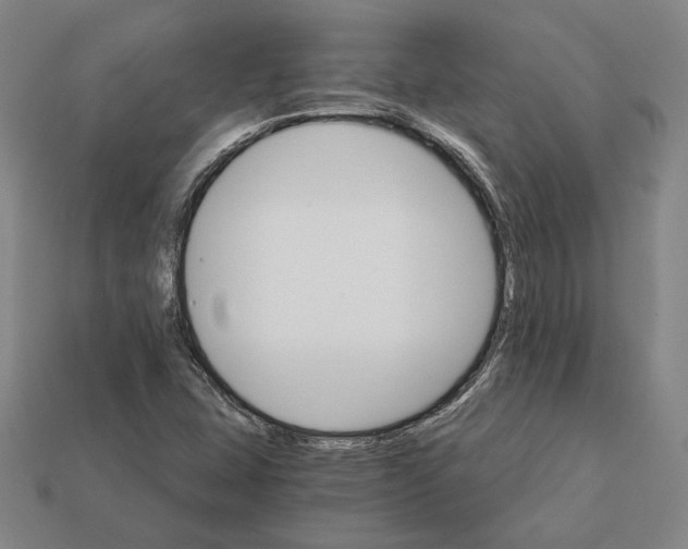 X0000112431407200909111021