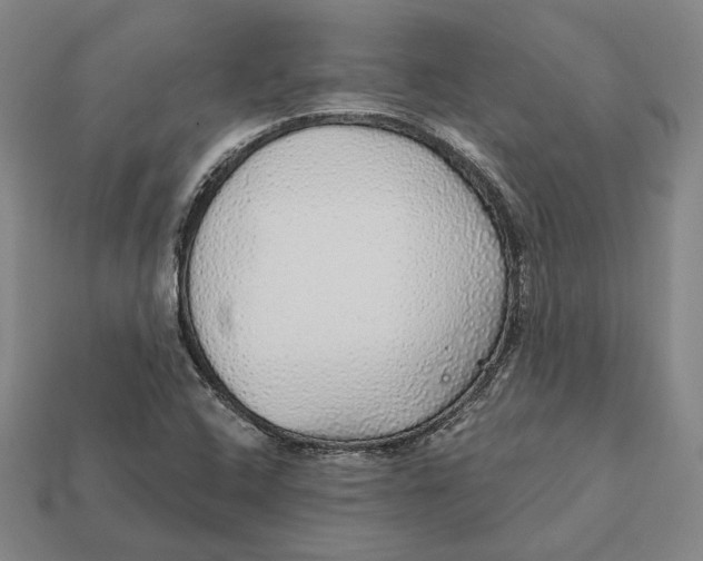 X0000112431408200909111021