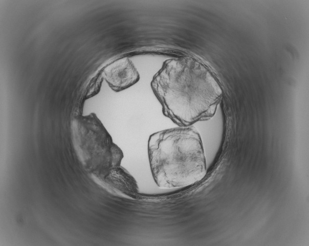 X0000112431409200909111021