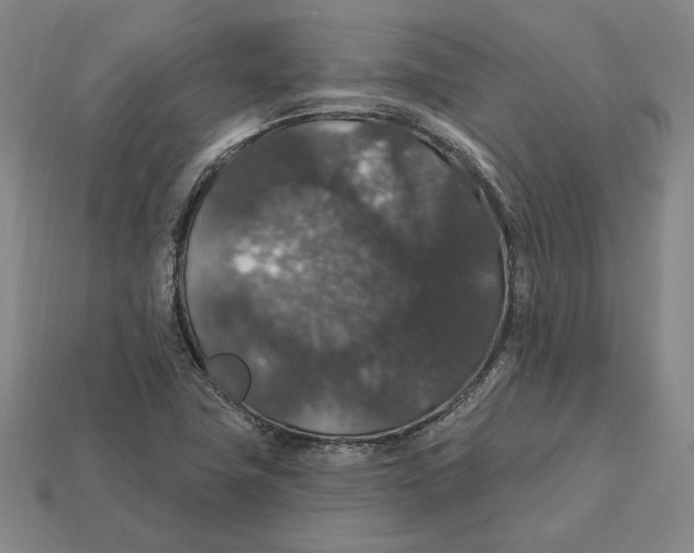 X0000112431411200909111021