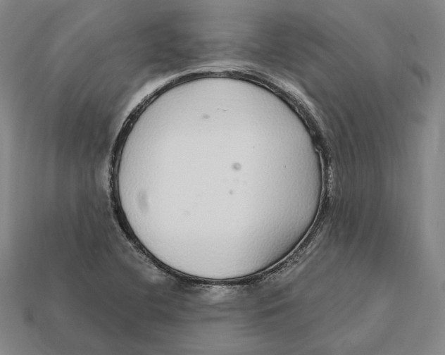 X0000112431412200909111021