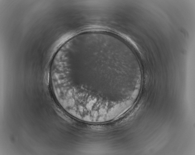X0000112431413200909111021