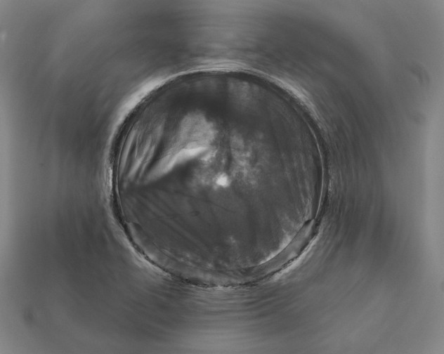 X0000112431414200909111021