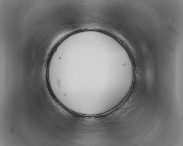 X0000112431416200909111021