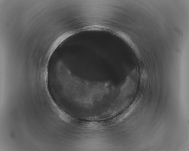 X0000112431418200909111021