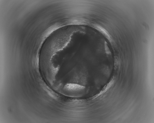 X0000112431419200909111021