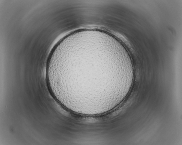 X0000112431420200909111021