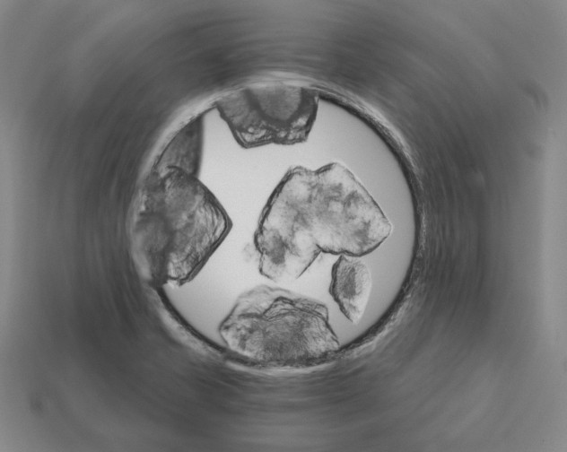 X0000112431421200909111021