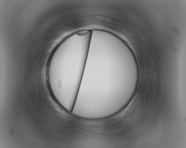 X0000112431422200909111021