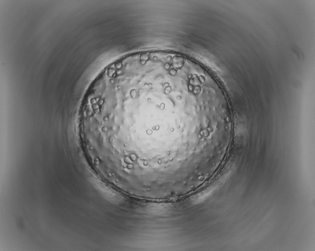 X0000112431423200909111021