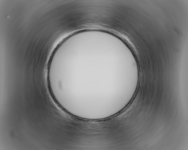 X0000112431424200909111021