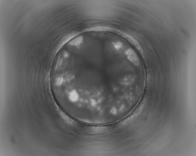 X0000112431425200909111021