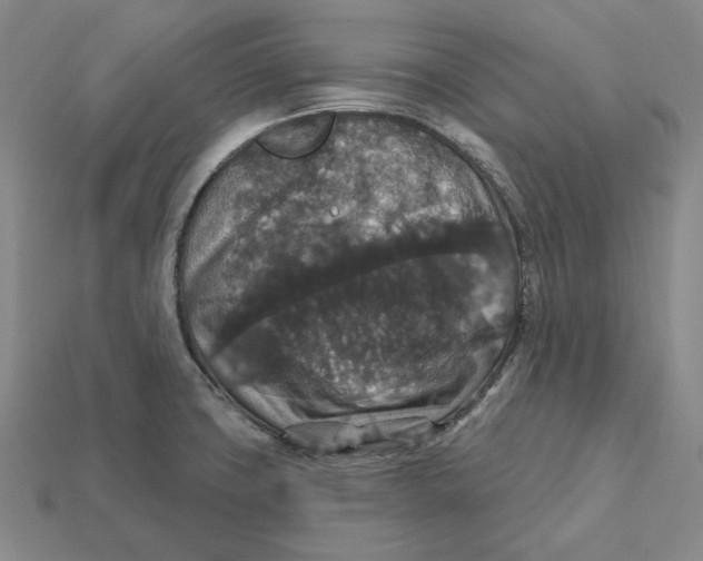 X0000112431427200909111021