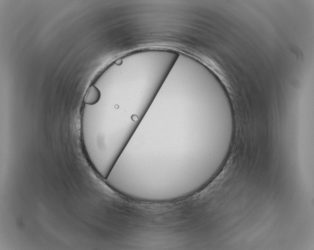 X0000112431428200909111021
