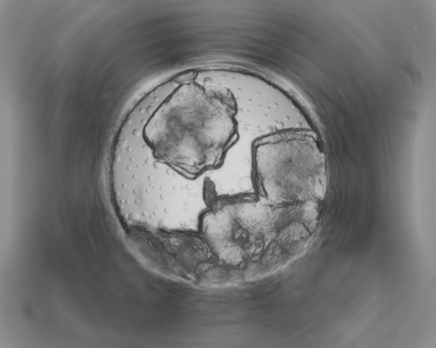 X0000112431429200909111021