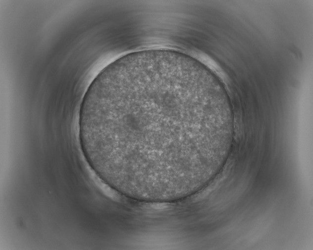 X0000112431431200909111021