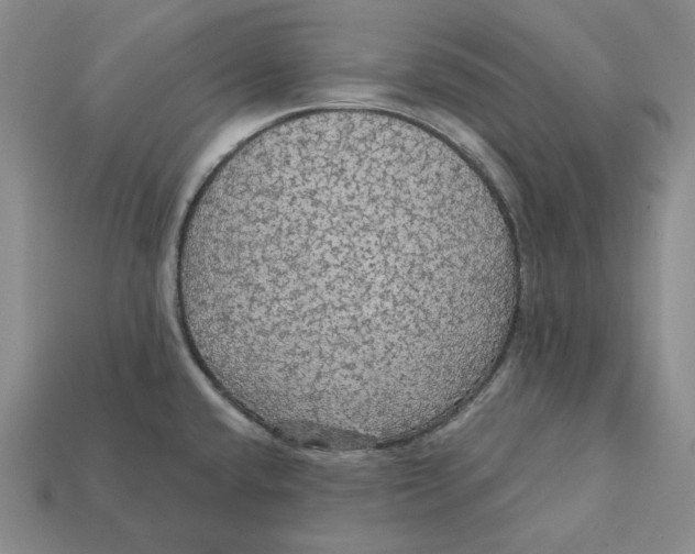 X0000112431432200909111021