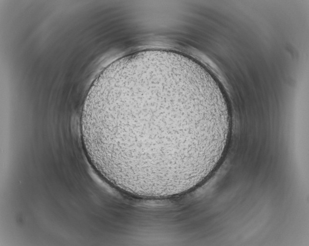 X0000112431433200909111021