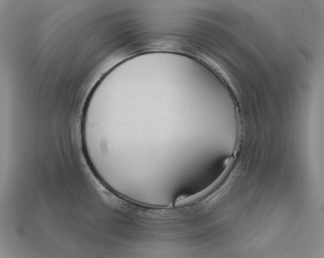 X0000112431434200909111021
