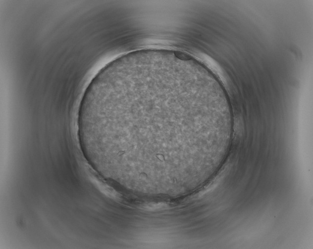 X0000112431435200909111021