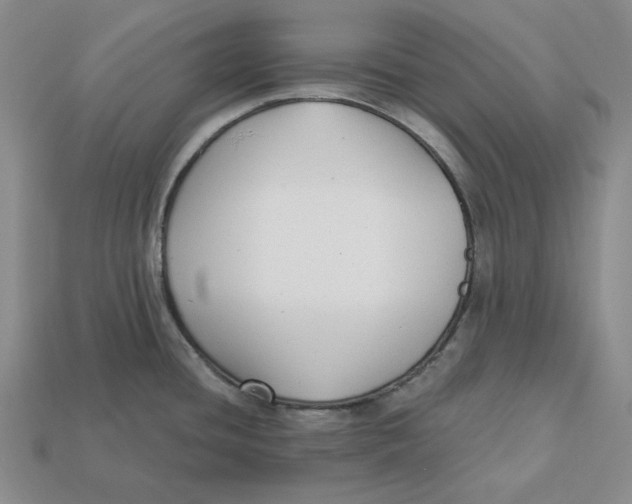 X0000112431436200909111021