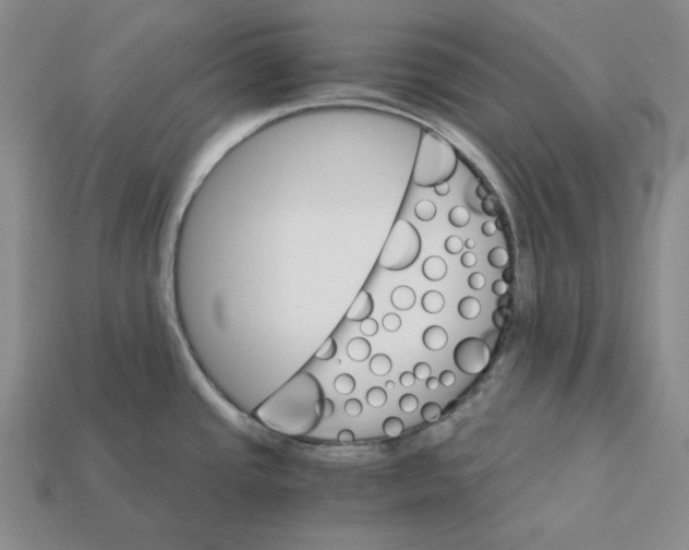 X0000112431437200909111021