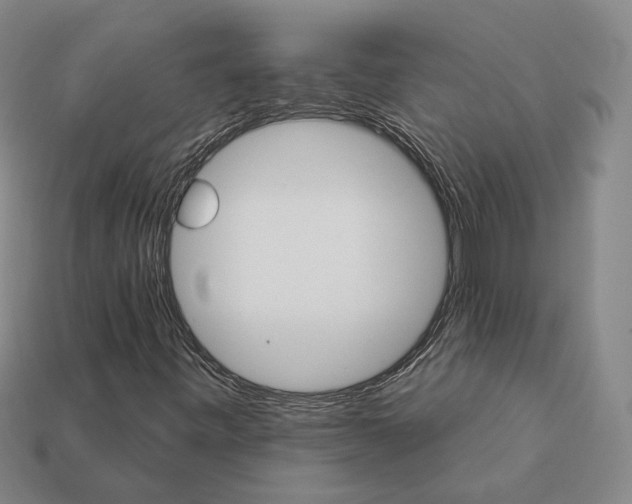 X0000112431443200909111020