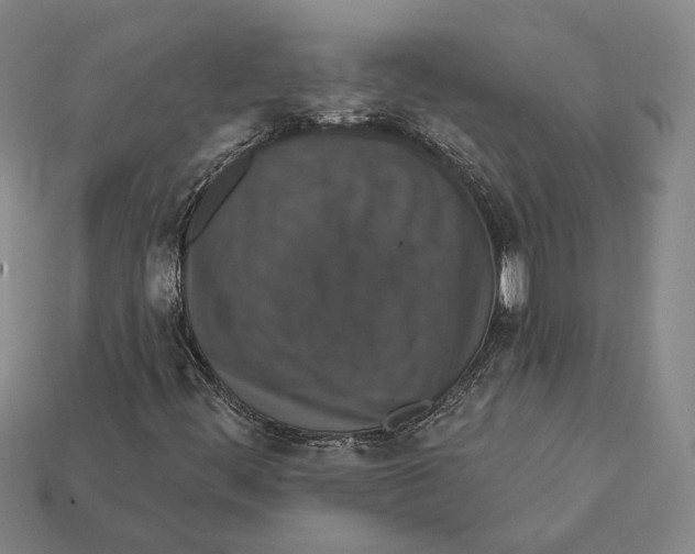 X0000112431444200909111020