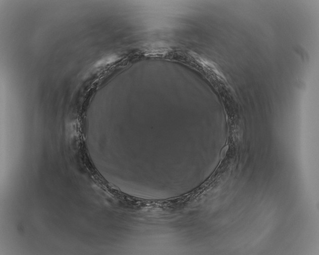 X0000112431445200909111020