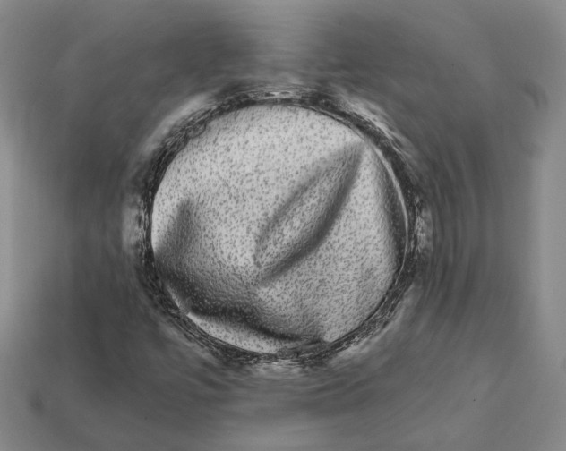 X0000112431447200909111020