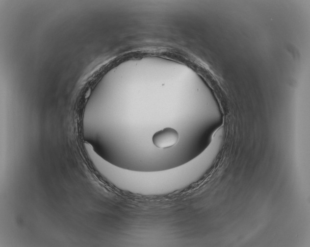 X0000112431448200909111020