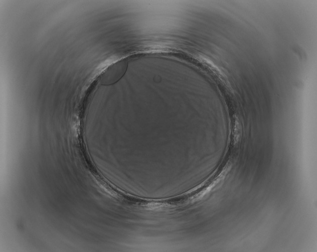 X0000112431449200909111020