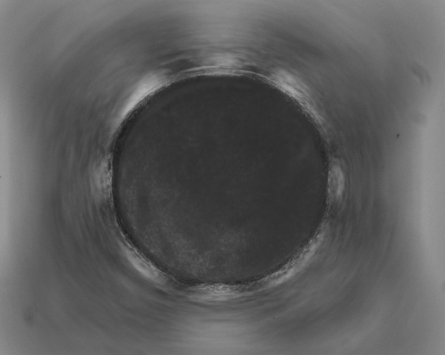 X0000112431450200909111020