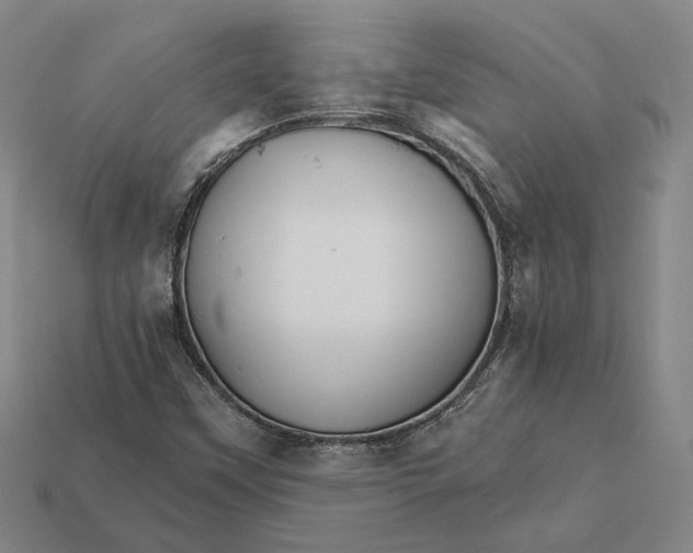 X0000112431451200909111020