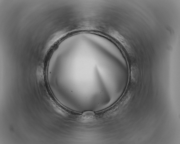 X0000112431452200909111020