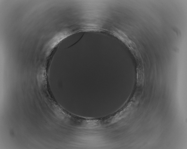 X0000112431453200909111020