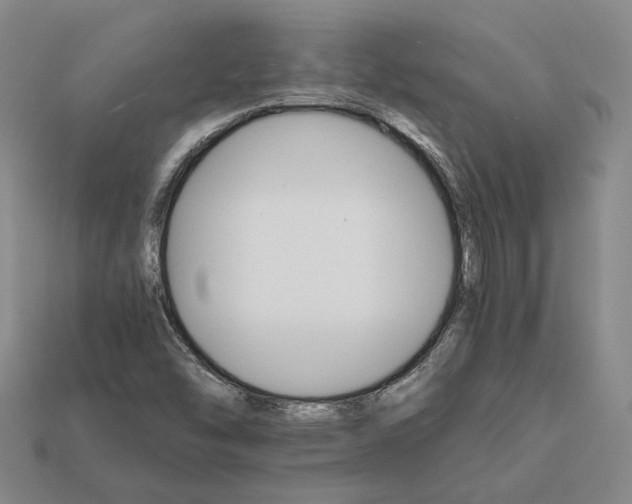 X0000112431454200909111020