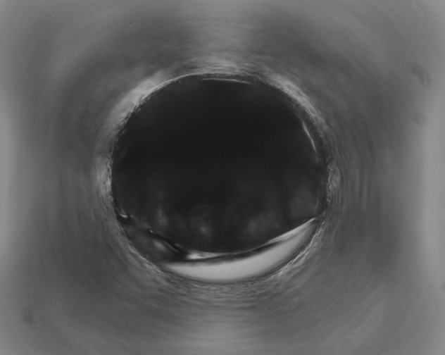 X0000112431455200909111020